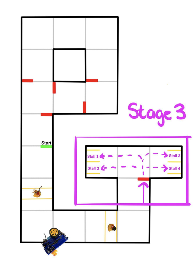 stage 3